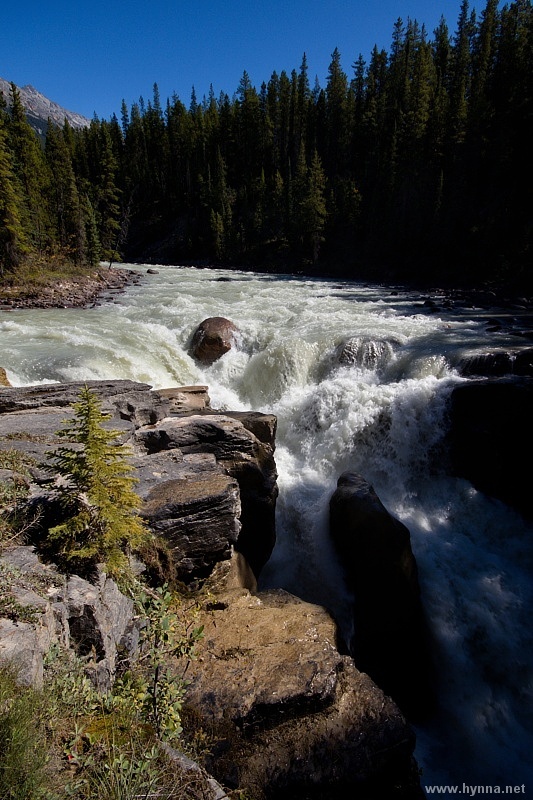 Sunwapta Falls (Icefield Parkway - Jasper National Park) - IMG 1019 ...